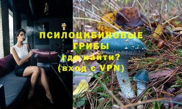 МДПВ Абинск