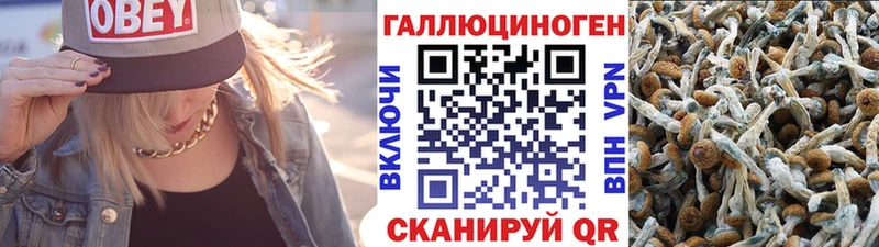 Псилоцибиновые грибы ЛСД  где продают наркотики  Пудож 